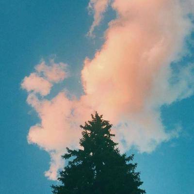 49图库一资料中心