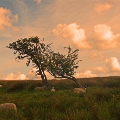 ayx体育在线登录app下载